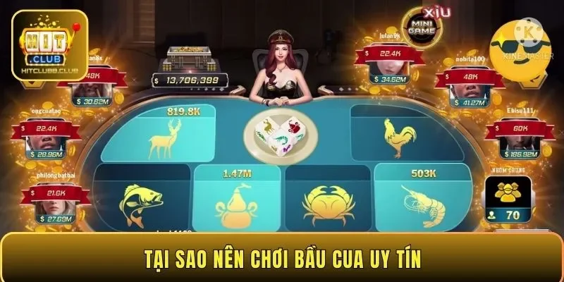 Tại sao nên chơi bầu cua uy tín